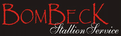 Logoentwurf_Bombeck02